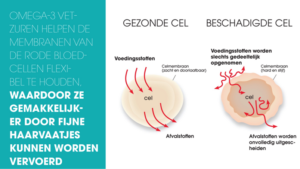 Omega-3 vetzuren gezonde cel